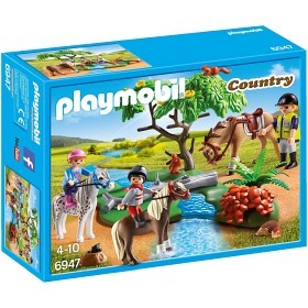 Bild på Playmobil Country - Ponnyridlektion 6947