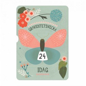 Bild på Milestone Turn Wheel Cards Pregnancy