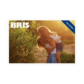 Bild på Bris Kort med 10% rabatt