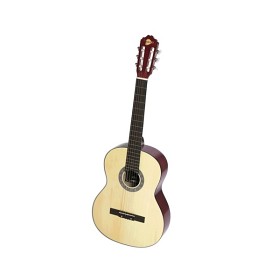Bild på Akustisk Gitarr