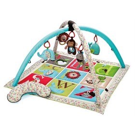 Bild på Skip Hop ABC Babygym