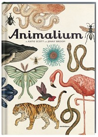 Bild på Animalium