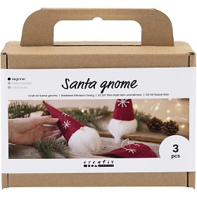 Bild på Creativ Company DIY Kit Filttomte