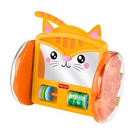Bild på Fisher Price Pets Crawl & Play