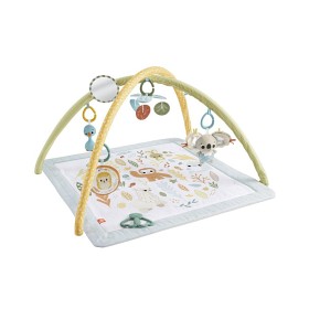 Bild på Fisher-Price Sensimals Simply Senses Babygym
