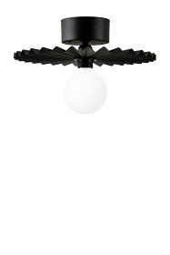 Bild på Globen Lighting Plafond/Vägg Omega 35 Svart