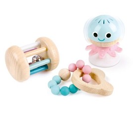 Bild på Hape Skallra Set 