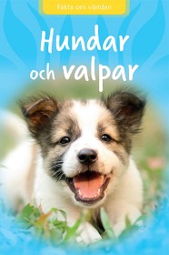 Bild på Hundar Och Valpar 
