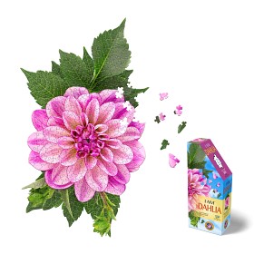 Bild på I Am Dahlia Pussel 350-bitar