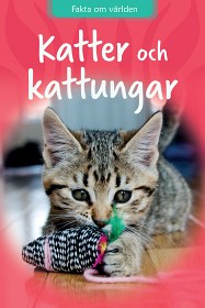Bild på Katter Och Kattungar