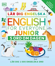 Bild på Lär dig engelska: 5 ord om dagen