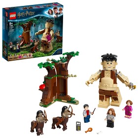 Bild på LEGO Harry Potter 75967 Den förbjudna skogen: Umbridges möte