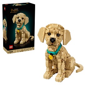 Bild på LEGO Icons 11384 Golden retriever-valp