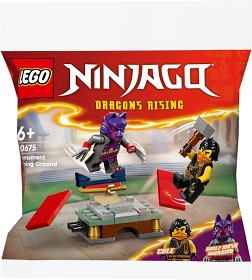 Bild på LEGO Ninjago 30675 Turneringsträning