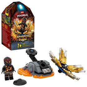 Bild på LEGO Ninjago 70685 Spinjitzuanfall Cole