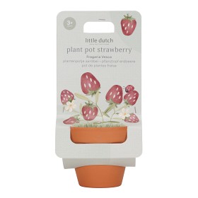 Bild på Little Dutch Odlingskit Strawberry