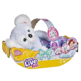 Bild på Little Live Pets Cozy Dozy Koala