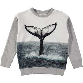 Bild på Molo Morell Tröja Whale Tail