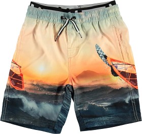 Bild på Molo Neal Badshorts (Point Break)