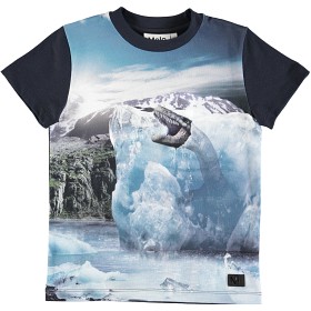 Bild på Molo Raymont T-shirt Melting Ice
