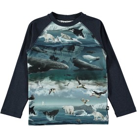 Bild på Molo Remington T-shirt Arctic Landscape (92)