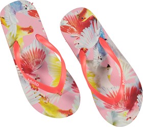 Bild på Molo Zeppo Flip Flops (Cockatoos)