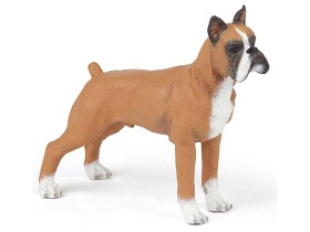 Bild på Papo Boxer