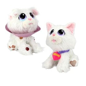 Bild på Rescue Runts Snowball