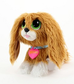 Bild på Rescue Runts (Spaniel)