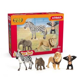 Bild på Schleich Wild Life "Africa" Startset