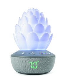 Bild på Skip Hop Succulent Glow Nattlampa med gråtsensor