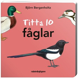 Bild på Titta 10 fåglar