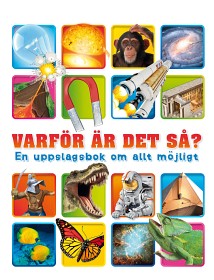 Bild på Varför är det så?