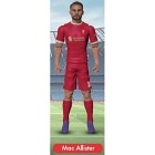 Sockers - Macallister - 20 cm Figur