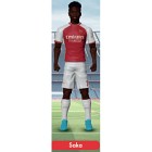 Sockers Saka Samlarfigur