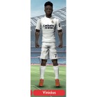 Sockers Vinicius Samlarfigur